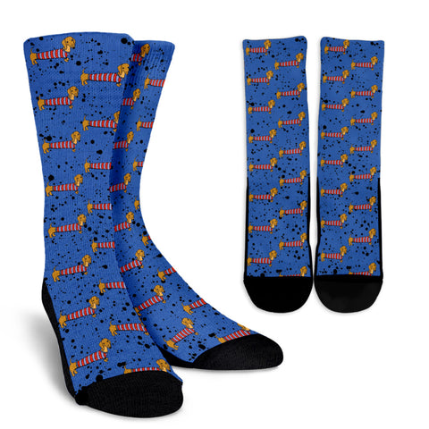 Dachshund dressed socks