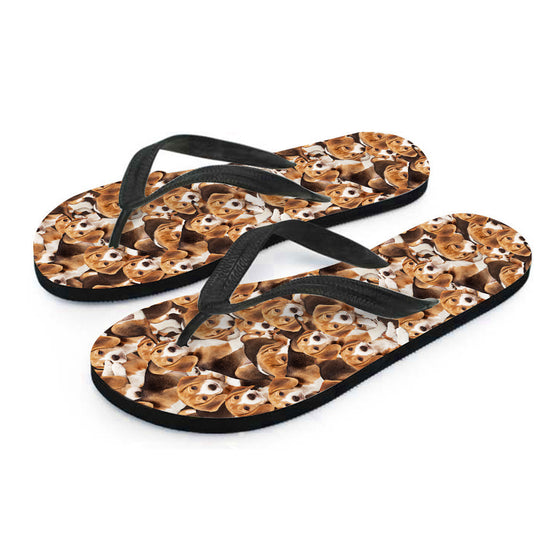 Beagles Flip Flops